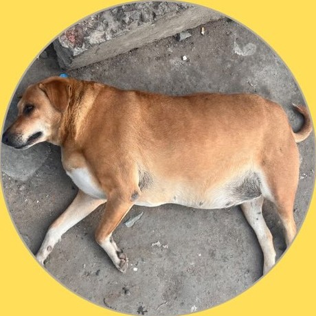 Monty, South Campus