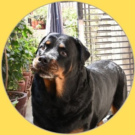 Max, Ghaziabad