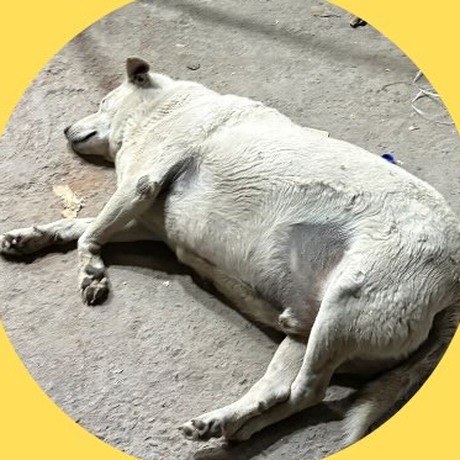 Mahakuteshwar, Amity, Noida