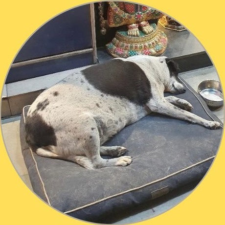 Tara FK Khan Saheb, Khan Market