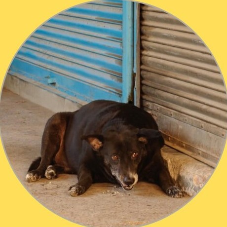 Fattly, East of Kailash