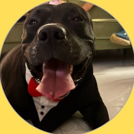 Oscar, Noida