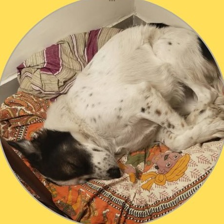 Floofin, Saket