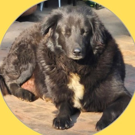 Hero, Malviya Nagar
