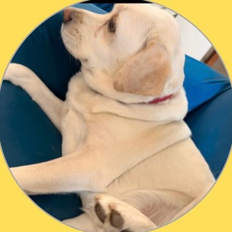 Hazel, Gurgaon
