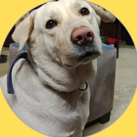 Ellie, Govindpuri